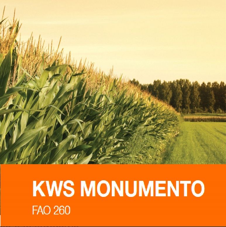 KWS Monumento FAO 200-250 ÚJ 2026