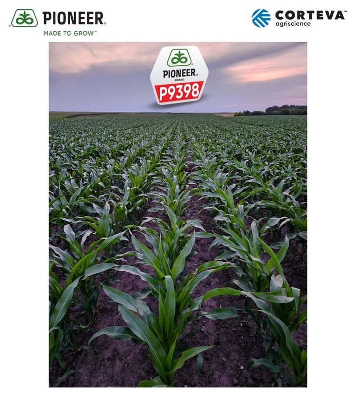 P9398 FAO 370