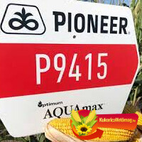 P9415 FAO 350 Optimum AQUAmax® hibrid P9415 FAO 350 Optimum AQUAmax® hibrid