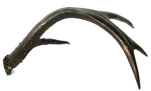 Antler Shed Accent