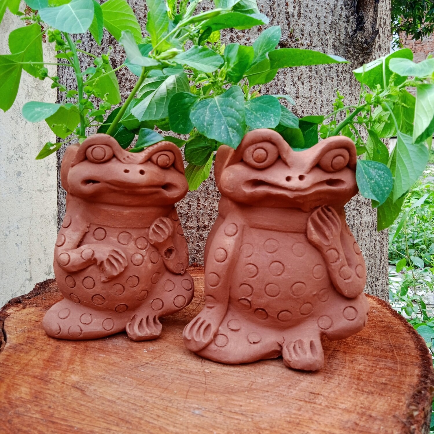 Frog Planter (set of 2)