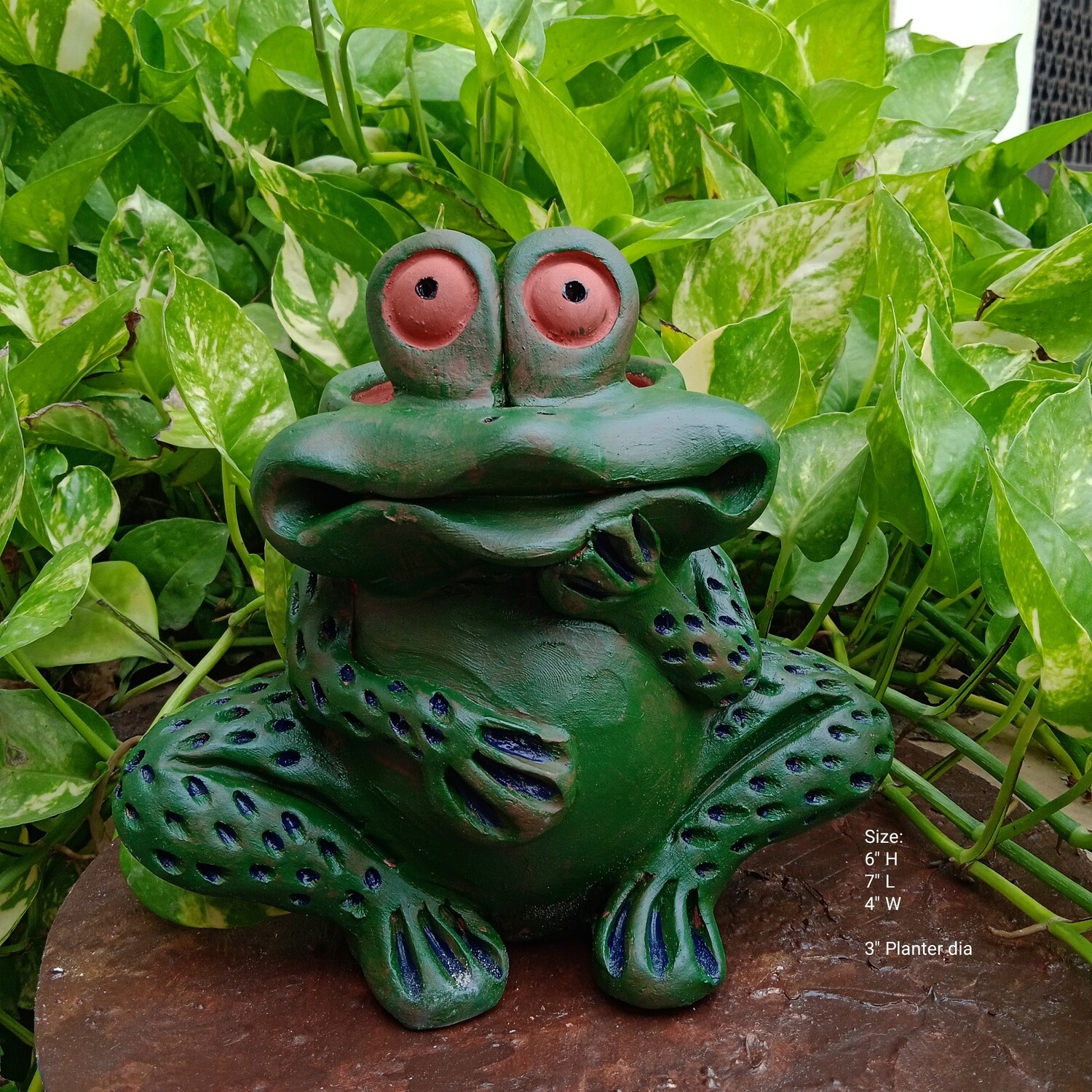 Painted Frog Terracotta Planter