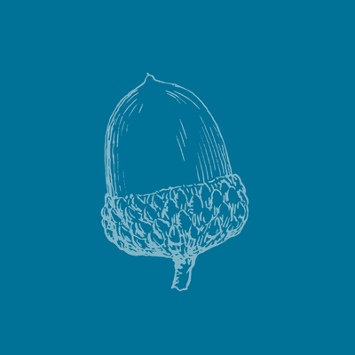 Acorn (Dawn&#39;s Kindergarten One)