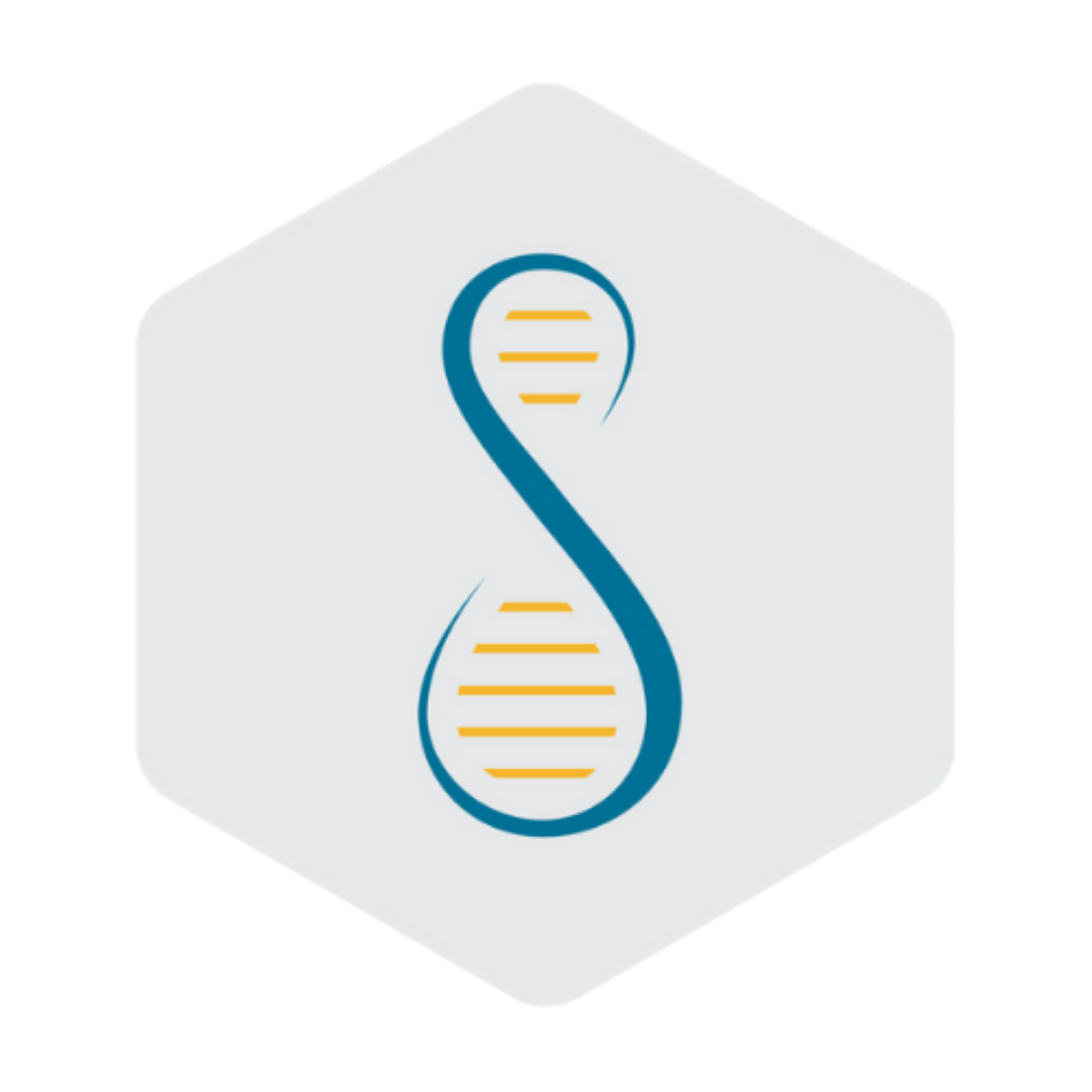 School Application Form - Visiting Students (Ages 16+) Cambridge English Exam