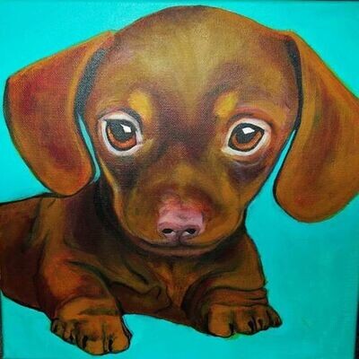 Adorable Dachshund Puppy Painting on 12" x 12" Canvas