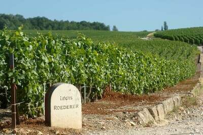 Louis Roederer