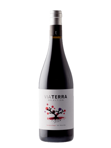 Edetaria Via Selectio 2021