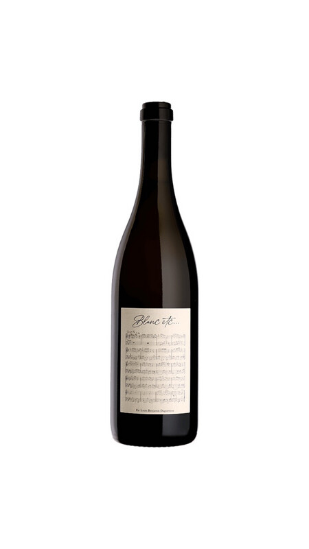 Domaine Didier Dagueneu Blanc Etc 2019