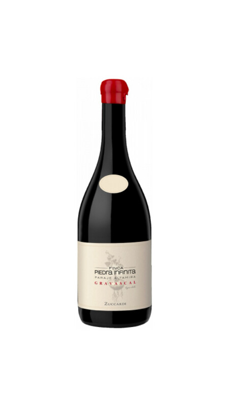 Finca Piedra Infinita Gravascal Malbec 2018