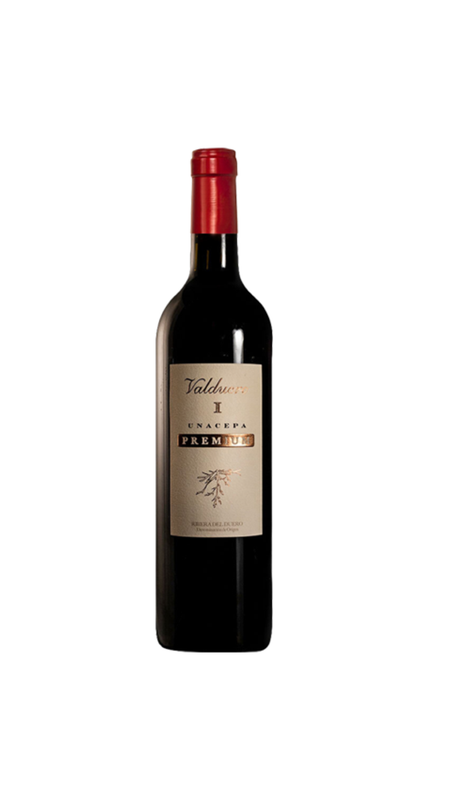 Valduero Una Cepa Premium 2010