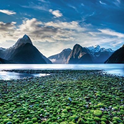 Nueva Zelanda