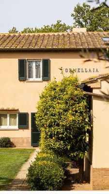 Ornellaia