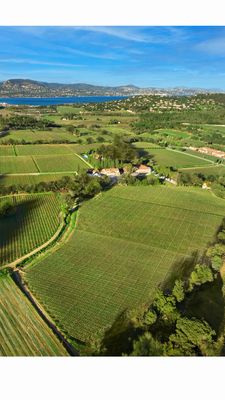 Chateau Minuty 