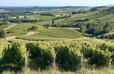 Domaine Bruyère-Houillon