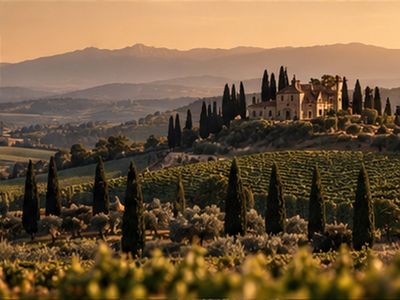 Vinos de Italia