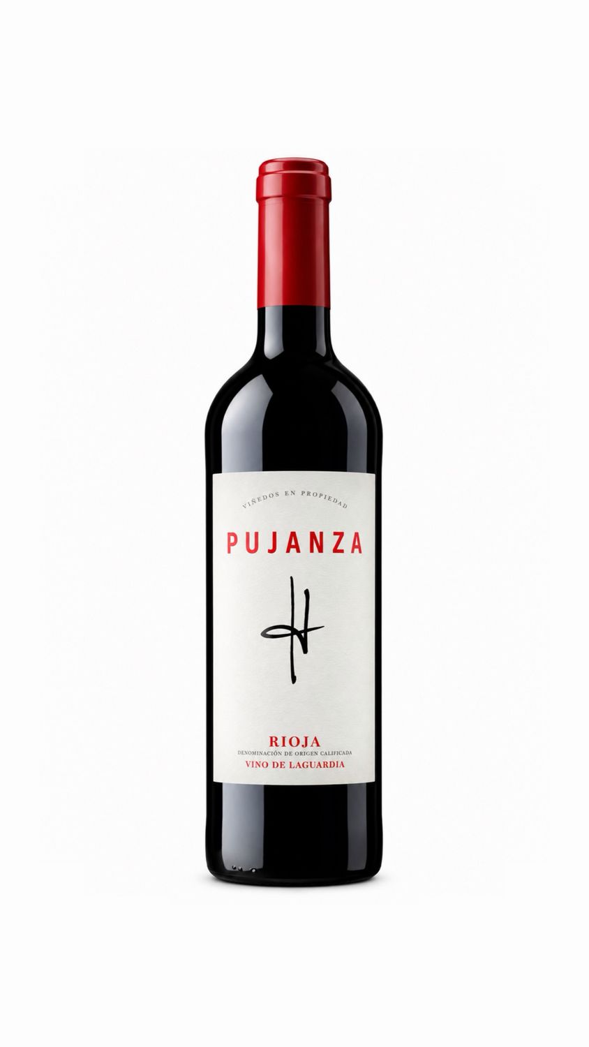 Pujanza 2021 Pujanza 2021