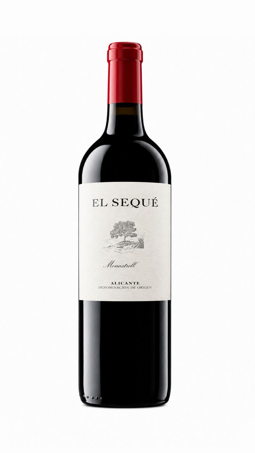 El Seque 2023 El Seque 2023