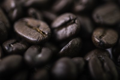 DARK ROASTS