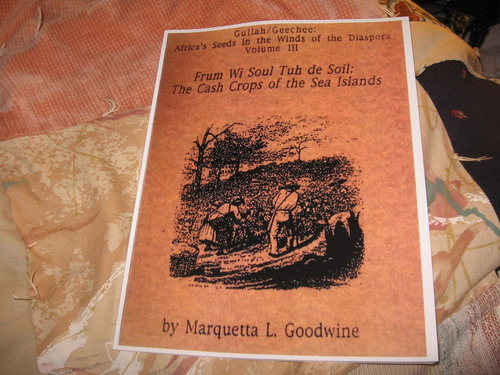Frum We Soul ta de Soil: Cotton, Rice &amp; Indigo