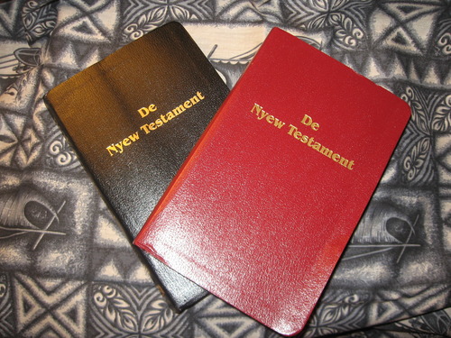 De Nyew Testament (Gullah Bible)