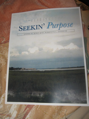 Seekin Purpose