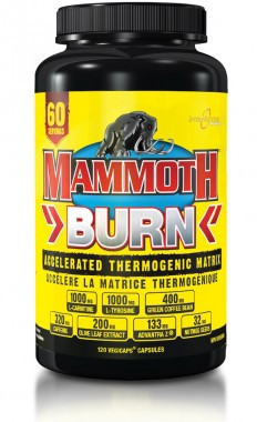 Mammoth Burn 120 capsules