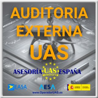 AUDITORÍA EXTERNA