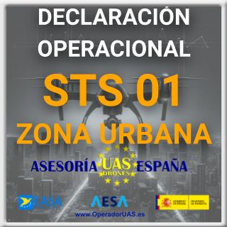 DECLARACIÓN OPERACIONAL STS ES 01