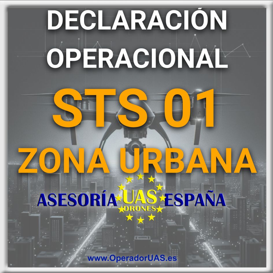 DECLARACIÓN OPERACIONAL STS ES 01