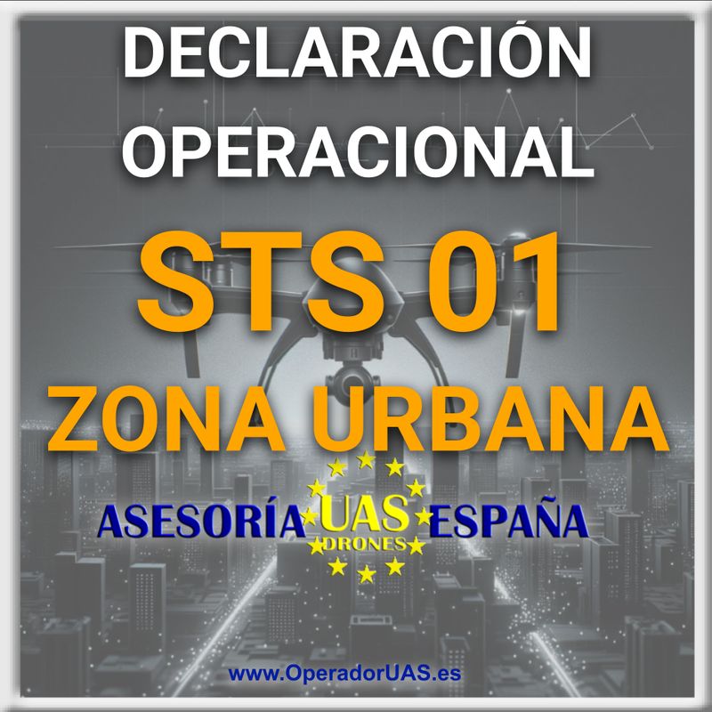 DECLARACIÓN OPERACIONAL STS ES 01