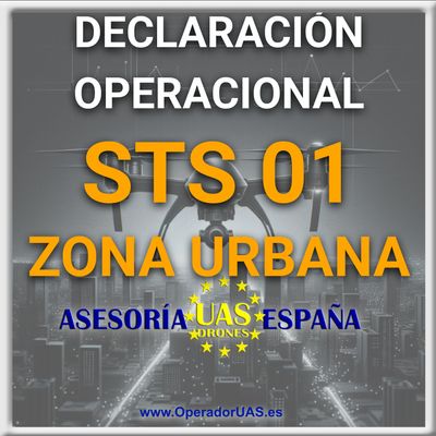DECLARACIÓN OPERACIONAL STS ES 01