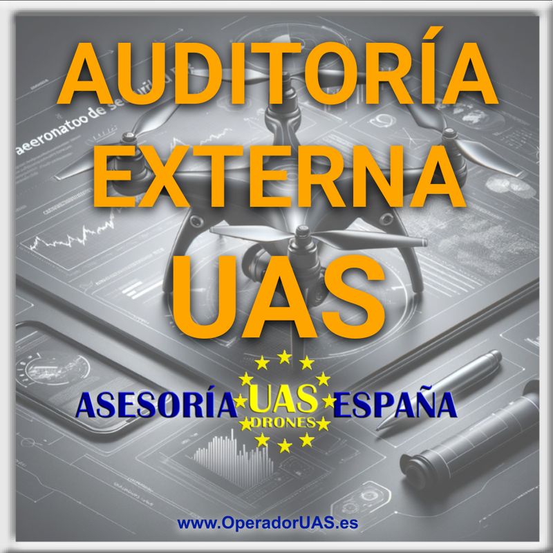 AUDITORÍA EXTERNA