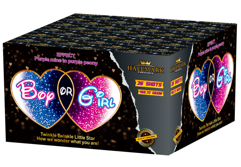 BOY OR GIRL (BLUE) (36 SHOTS)