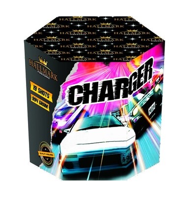 CHARGER (19 SHOTS)