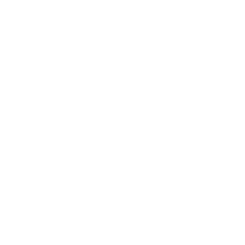 CAPRICCIO®️