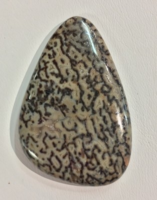 Large cell tan and brown gem bone cab