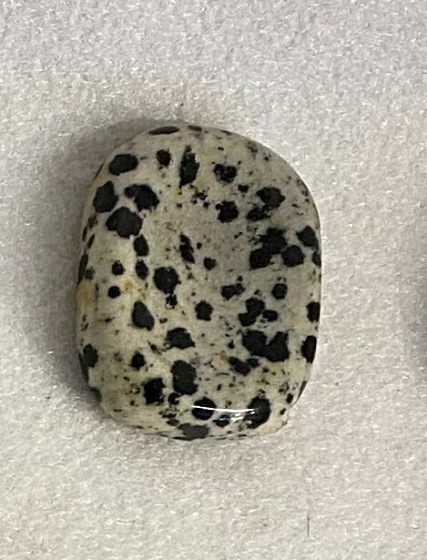 Dalmation Jasper Worry Stone