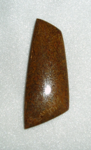 SOLD! Very contemporary yellow and tan dino bone cab