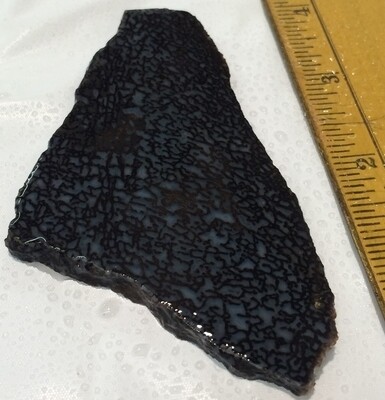 Dino and Gem Bone Slabs