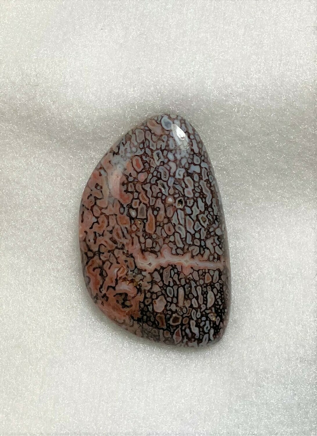 Pink and blue gem dino cab