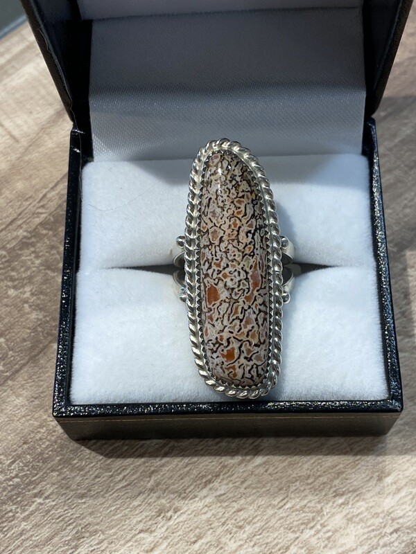 SOLD! Unusual Salmon and Cream Gem Dinosaur Bone