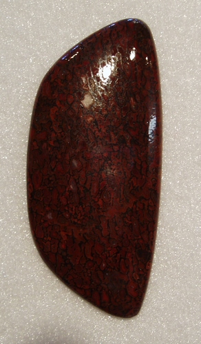 Outstanding red dinosaur bone cabachon