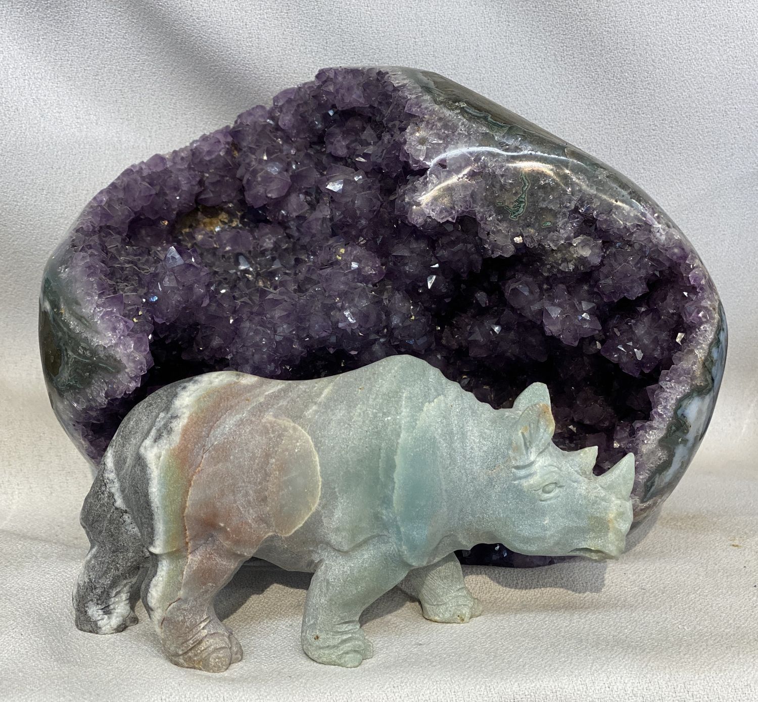 Jasper Rhino