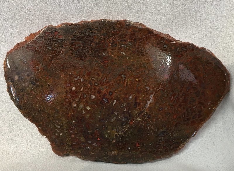 SOLD! Beautiful multi-colored gem bone slab