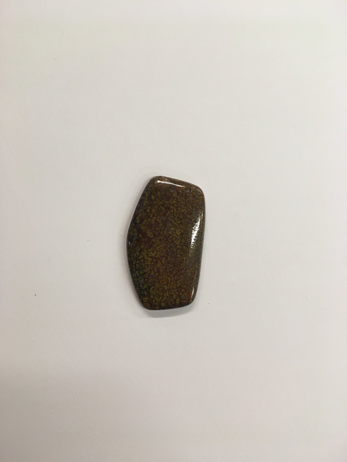 Rare yellow and burgundy gem dino bone cabochon