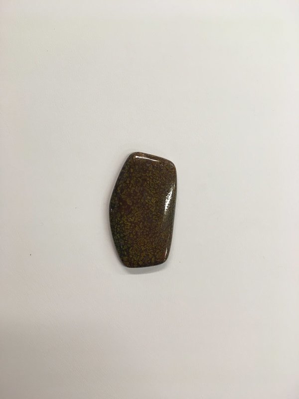 Rare yellow and burgundy gem dino bone cabochon