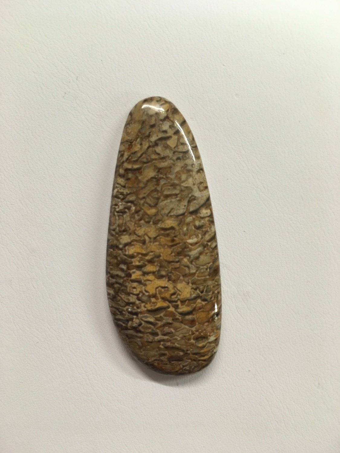 Buckskin Gem bone cab