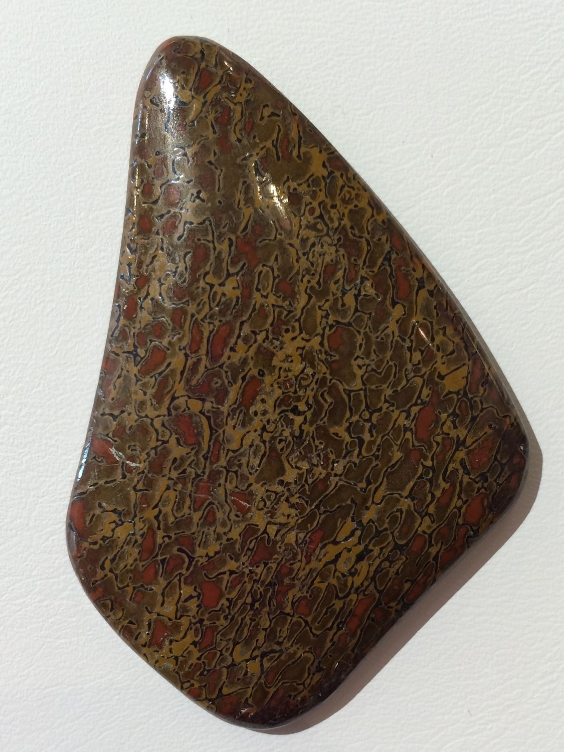 Oblique cut gem dino bone cab