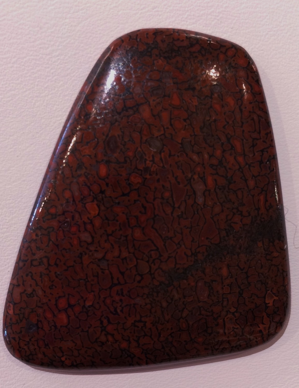 Red gem dino bone cabochon