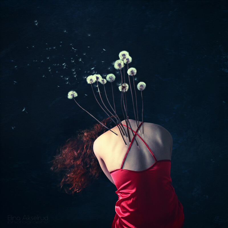 Dandelion Dreams (from 30x30cm)